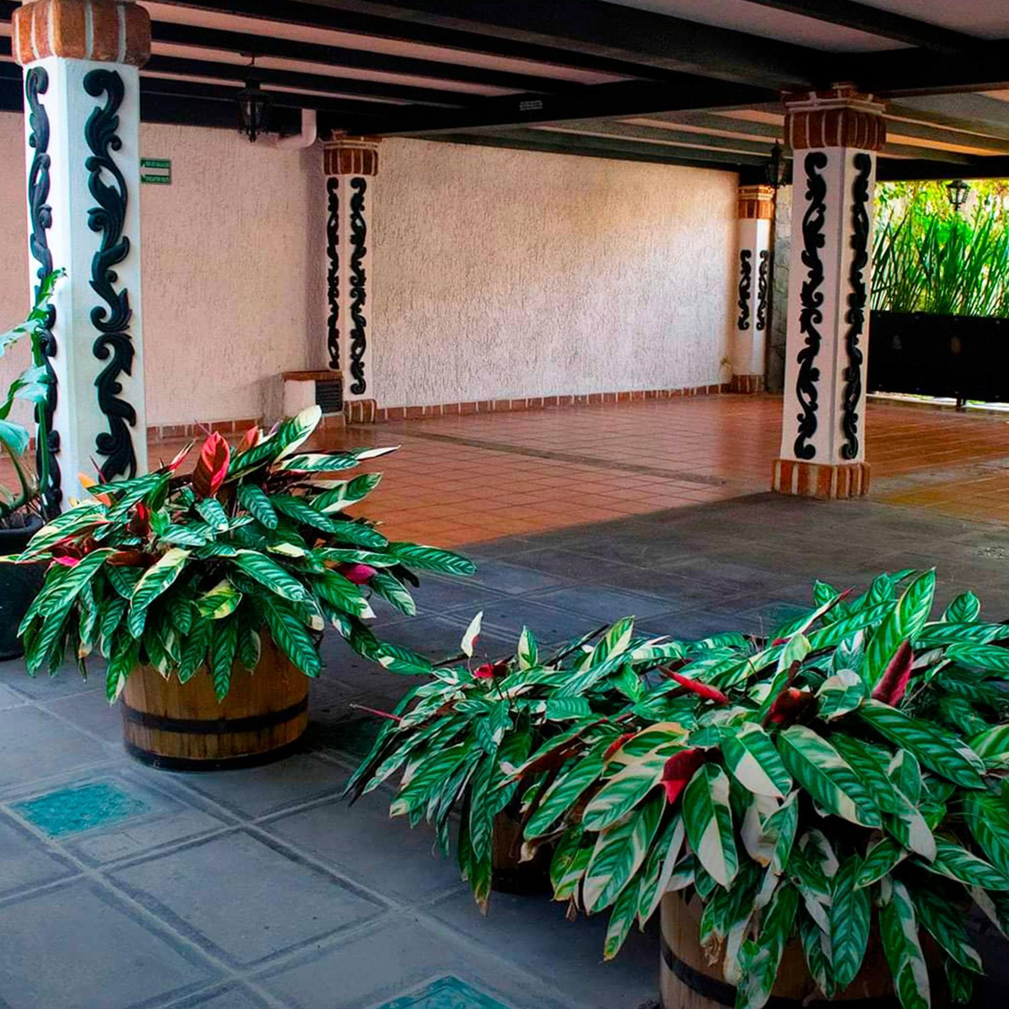 Hotel Boutique La Mansion グアダラハラ エクステリア 写真